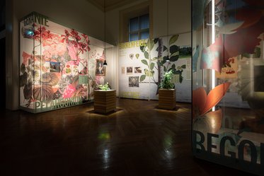 In einem Ausstellungsraum sind großformatige Wandbilder mit Pflanzenmotiven zu sehen. Glaskästen enthalten weitere Pflanzen und Informationen. Die Beleuchtung ist gedämpft, was eine ruhige Atmosphäre schafft. Schriftzüge zu den Themen „Begonie“ und „Birkenfeige“ sind sichtbar.