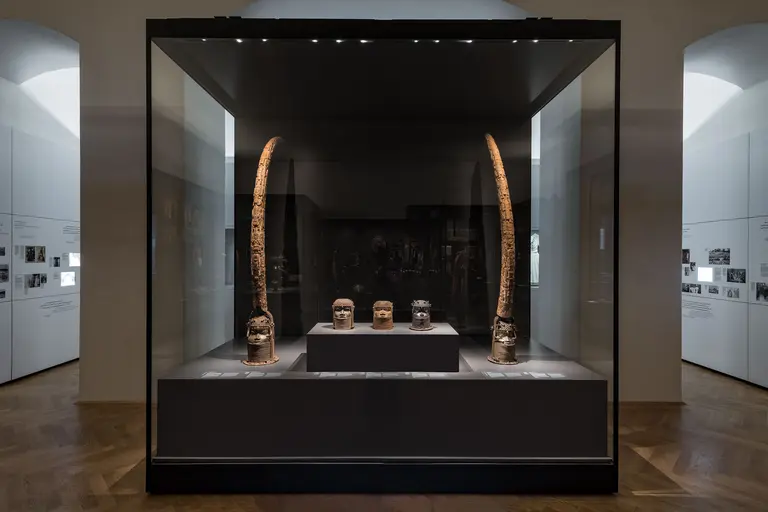 Die Ausstellung zeigt eine Vitrine mit drei verzierten Gefäßen und zwei großen, geschwungenen Stücken aus Elfenbein. Der Boden ist aus Holz, und die Vitrine ist beleuchtet, um die Exponate hervorzuheben. Im Hintergrund sind Wände mit weiteren Informationen zu sehen.