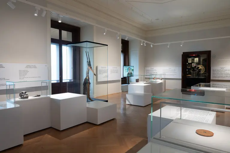 Ein Ausstellungsraum mit weißen Vitrinen, in denen Kunstwerke und Objekte präsentiert werden. An den Wänden hängen Informationen zu den Exponaten. Große Fenster sorgen für Tageslicht. Der Boden ist aus Holz und die Wände sind hell gestrichen.
