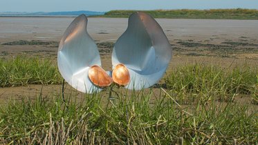 Zwei große, halbrunde Schalen aus glänzendem Metall liegen auf einer grasbewachsenen Fläche am Ufer. In der Mitte sind zwei runde, kupferfarbene Objekte platziert, die an Muscheln erinnern. Im Hintergrund erstreckt sich eine ruhige Landschaft mit Wasser und grünen Wiesen.