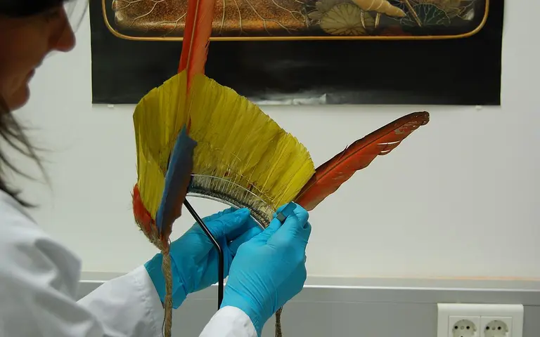 A person in a lab coat with blue gloves holds a colorful feather headdress, featuring vibrant yellow, blue, and red feathers. The background includes a partially visible poster, and there are electrical outlets on the wall.