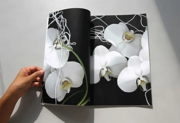 A hand holds an open book featuring close-up images of white orchids against a black background. The orchids are detailed, highlighting their petals and inner features, creating a striking contrast with the dark backdrop.