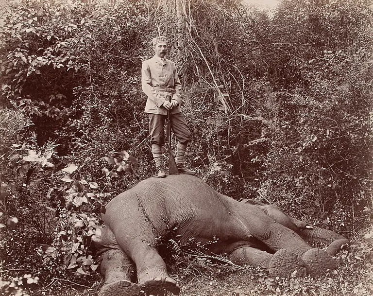 Ein Mann in Uniform steht auf dem Rücken eines liegenden Elefanten in einer bewaldeten Umgebung. Der Elefant wirkt leblos und der Hintergrund ist mit Pflanzen und Büschen bedeckt.
