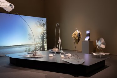 Eine Kunstinstallation zeigt mehrere skulpturale Objekte auf einer Plattform. Im Hintergrund ist ein großes Bild mit einem Sonnenuntergang über einem Gewässer zu sehen. Die Skulpturen bestehen aus verschiedenen Materialien und Formen, die an organische Strukturen erinnern.