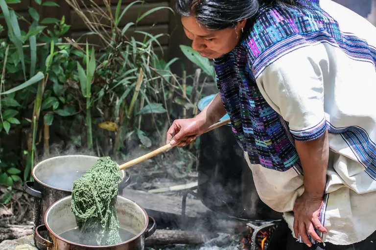 Eine Frau in traditioneller Kleidung rührt in einem großen Topf mit einer grünen, kochenden Mischung. Im Hintergrund sind Pflanzen und ein weiterer Topf sichtbar. Die Szene vermittelt eine Verbindung zur traditionellen Zubereitung von Lebensmitteln in der Natur.