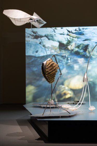 Eine künstlerische Installation zeigt zwei skulpturale Objekte, die an Meereslebewesen erinnern. Eines hat eine schuppenartige Textur, während das andere flugähnliche Elemente aufweist. Im Hintergrund sieht man eine Projektion von Wasser und Felsen, die eine Unterwasserumgebung darstellt.