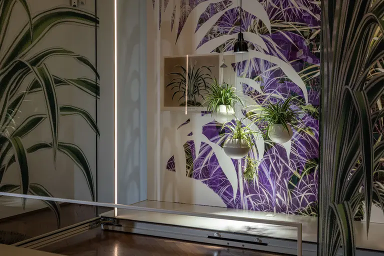 A modern interior space features a vibrant purple botanical mural with white and green plants in hanging pots. Natural light highlights the greenery, creating a serene atmosphere. A minimalist railing runs along the floor, enhancing the contemporary design of the room.