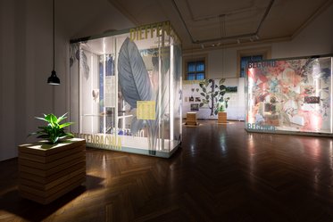 Ein lichtdurchfluteter Ausstellungsraum mit Glasvitrinen. In der linken Vitrine sind große Blätter und Informationen sichtbar. An der Wand sind künstlerische Darstellungen von Pflanzen zu erkennen. Der Boden ist aus Holz, und im Vordergrund steht ein Holzblock mit einer Pflanze.