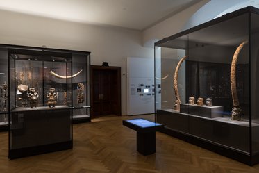 A museum interior featuring two display cases. The left case contains various artifacts, while the right case showcases large, curved tusks and additional objects. A digital information stand is positioned in the center of the room. The space is well-lit with wooden flooring.