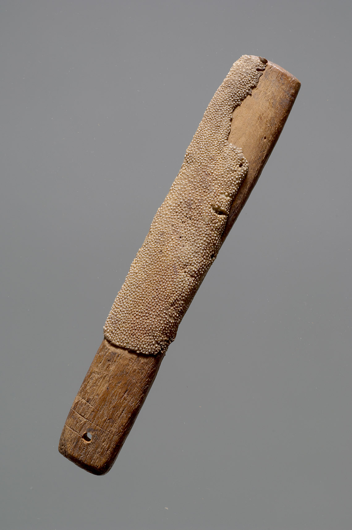 Copper File Rasp Rasp, file - Online Collection - Weltmuseum Wien