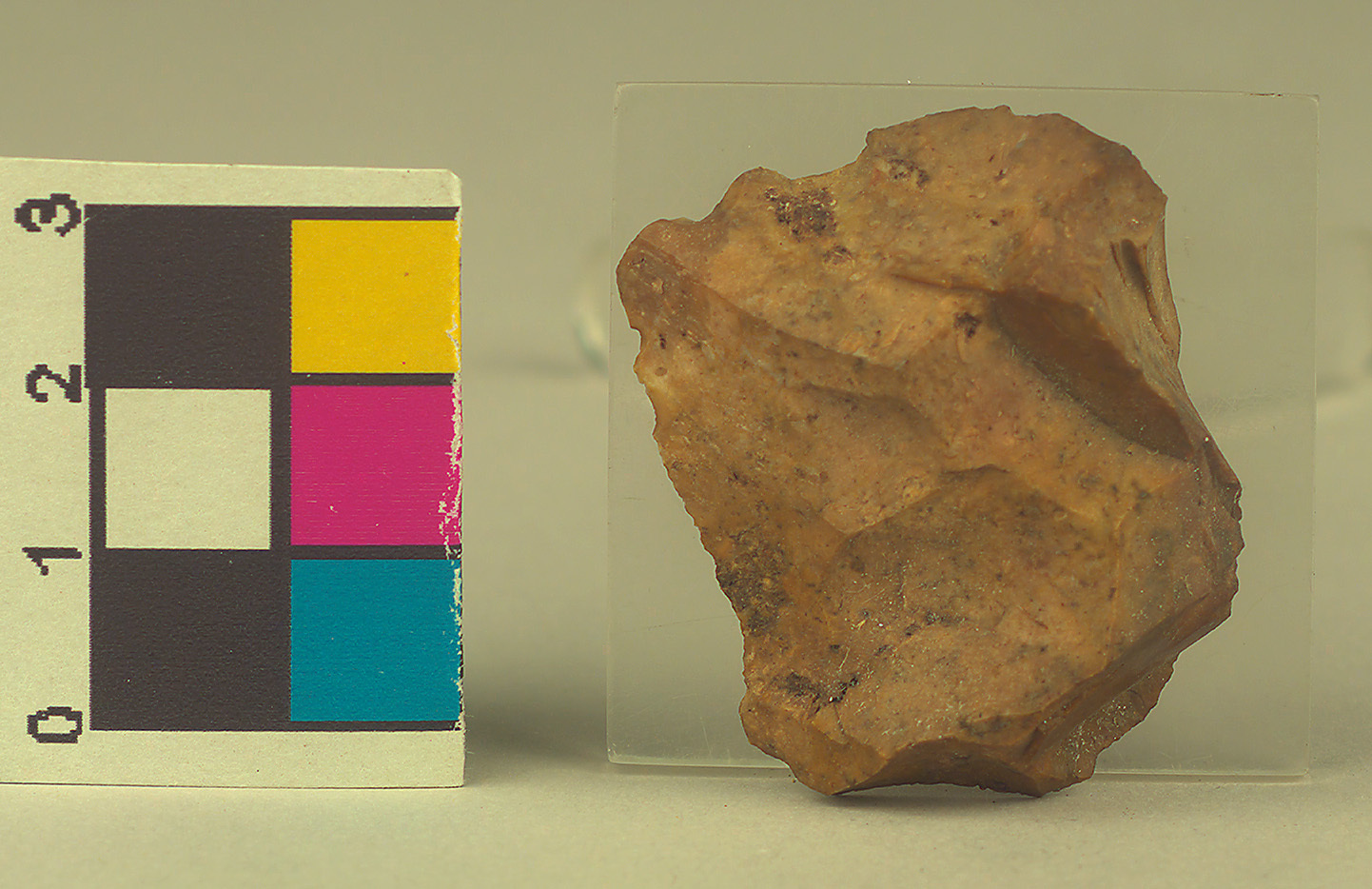 - Online Sammlung - Weltmuseum Wien