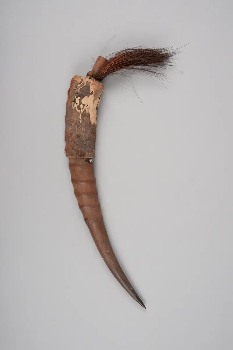Antilopenhorn (Medizin)