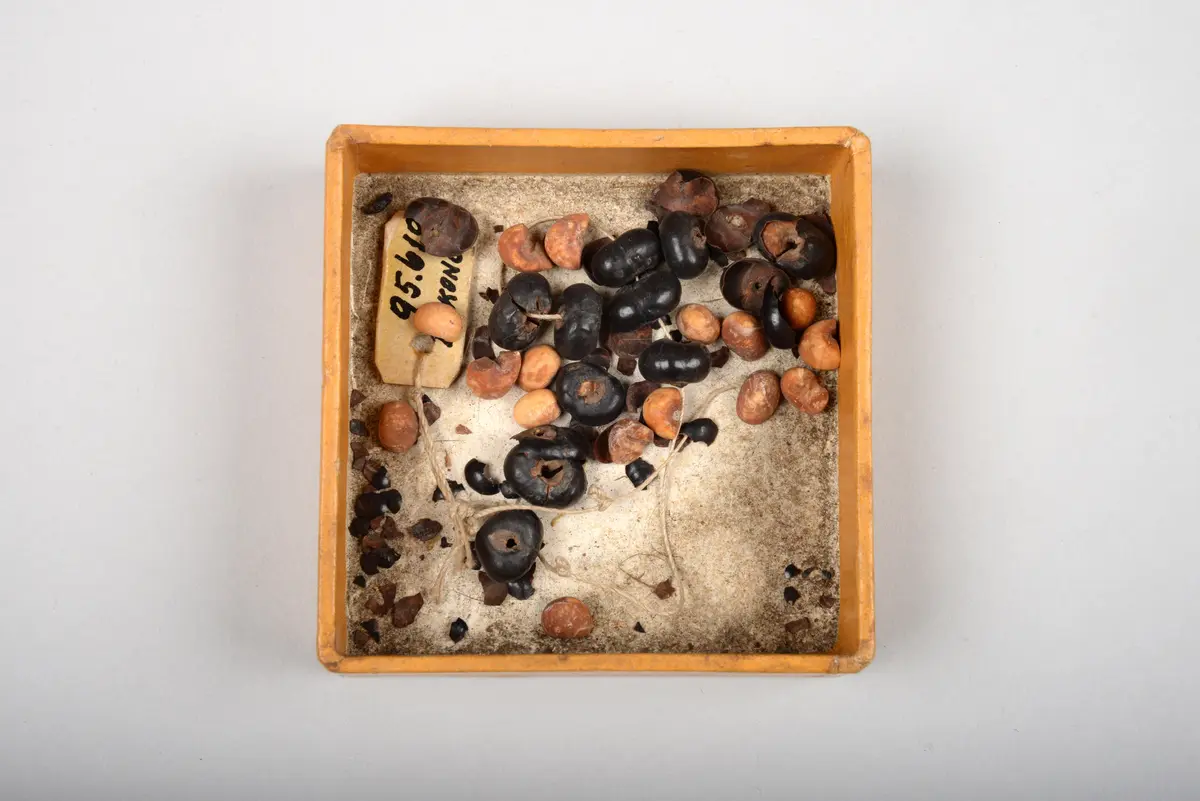 Beinschmuck (Fragmente)