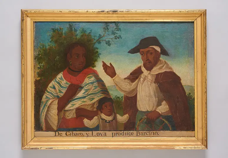 Casta. Gibaro (verwildert) und Lova ergibt Barcino