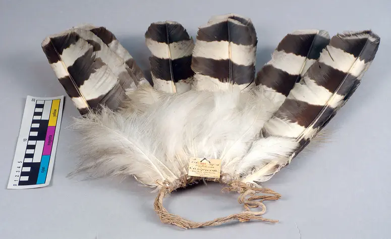 Headdress