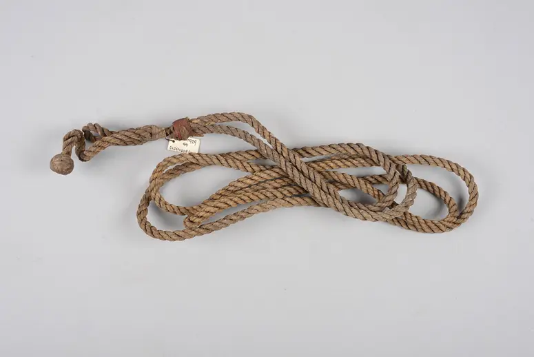 Horse lead