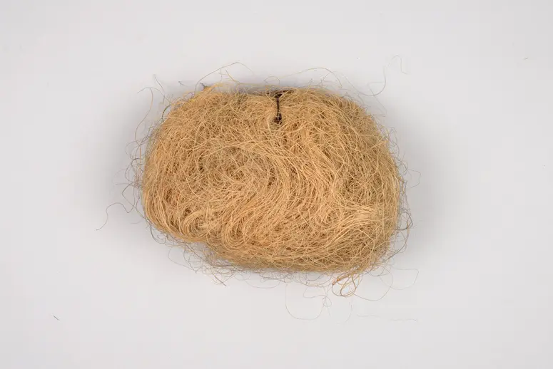 Dattelpalmfaser