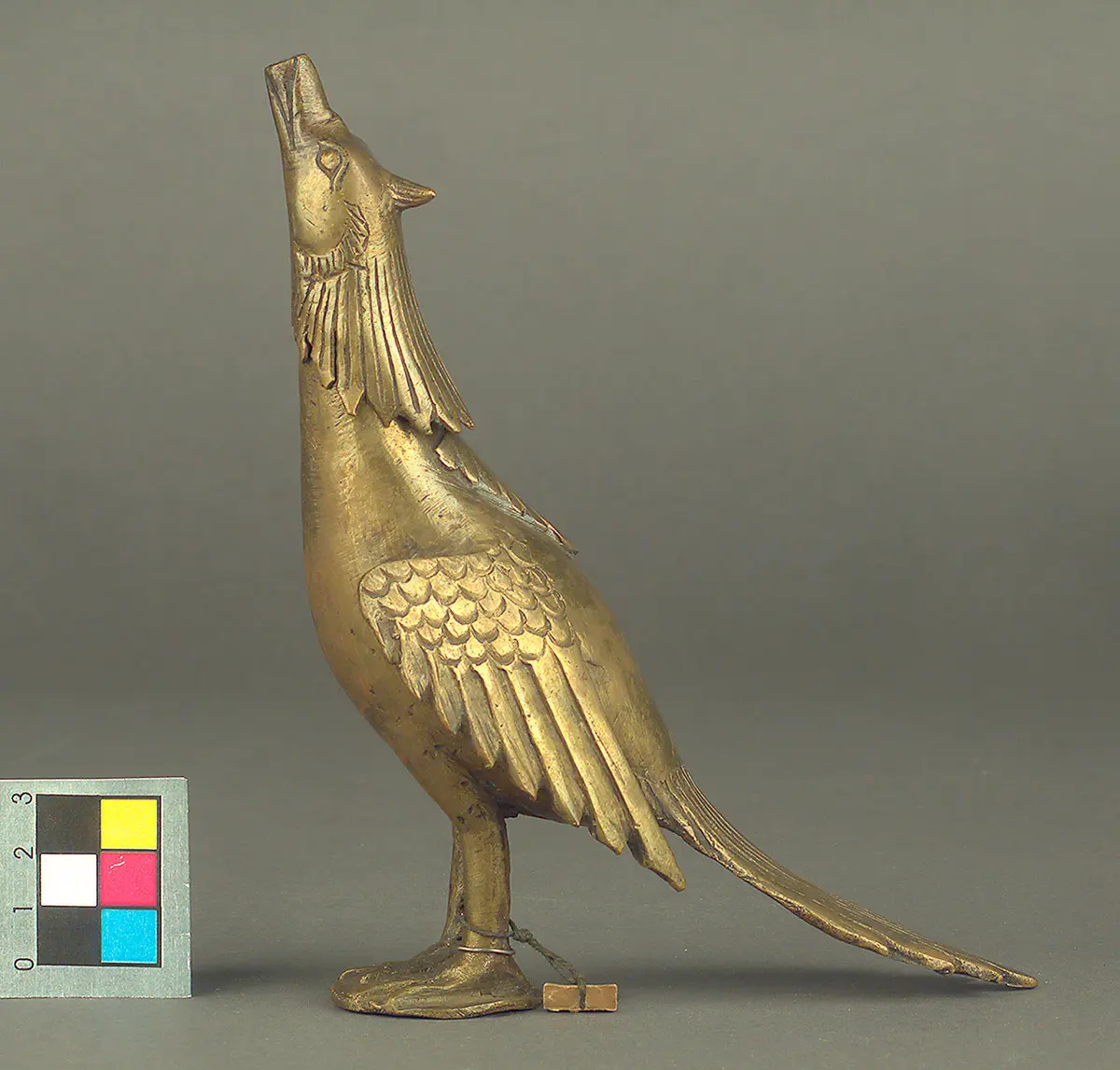 Vogel