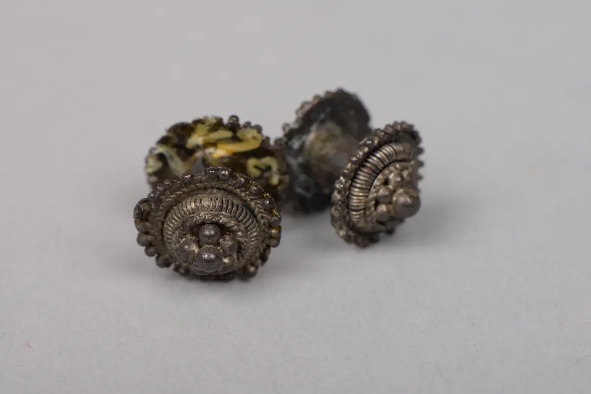 Pair of Ear Ornaments