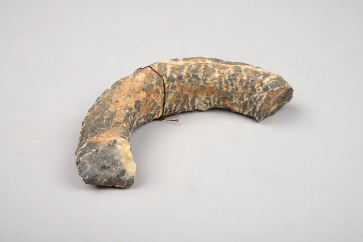 Bracelet Fragment