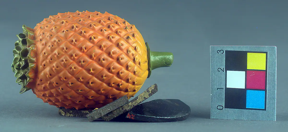 Schellakdarstellung, Frucht
