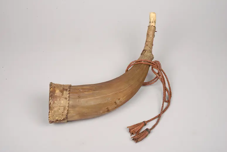 Instrument: Horn
