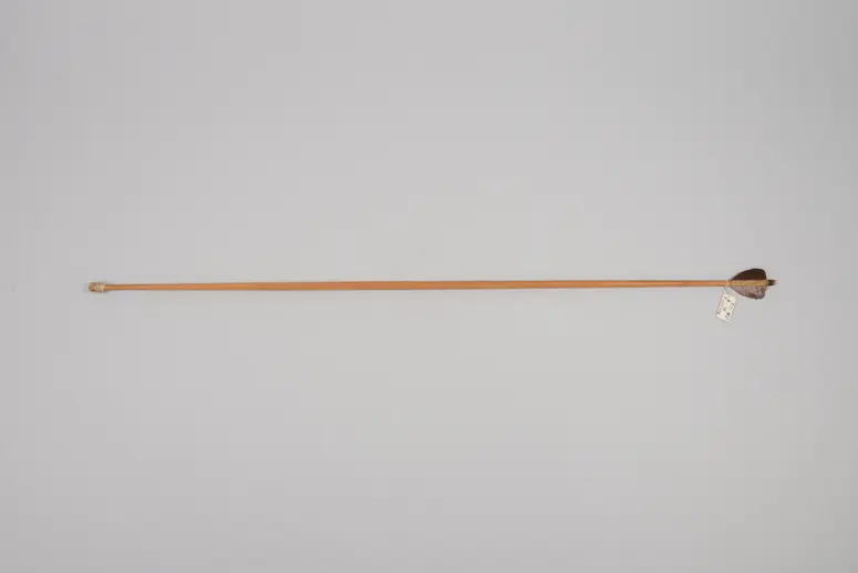 Übungspfeil