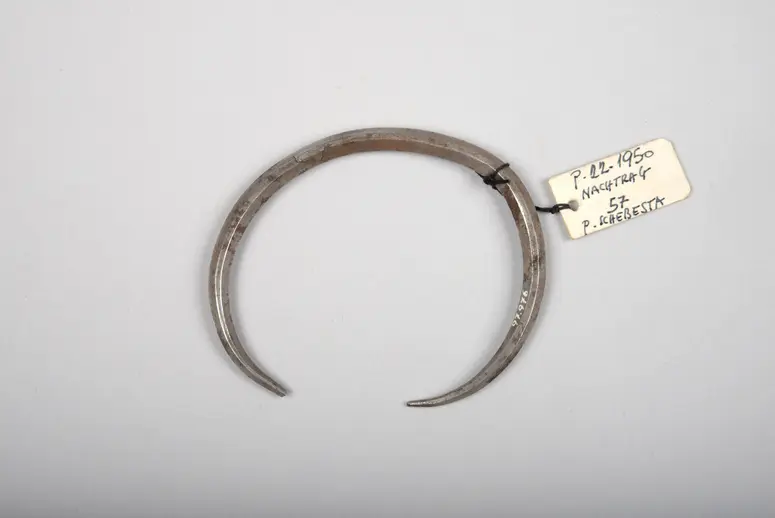Leg Ornament or Bracelet