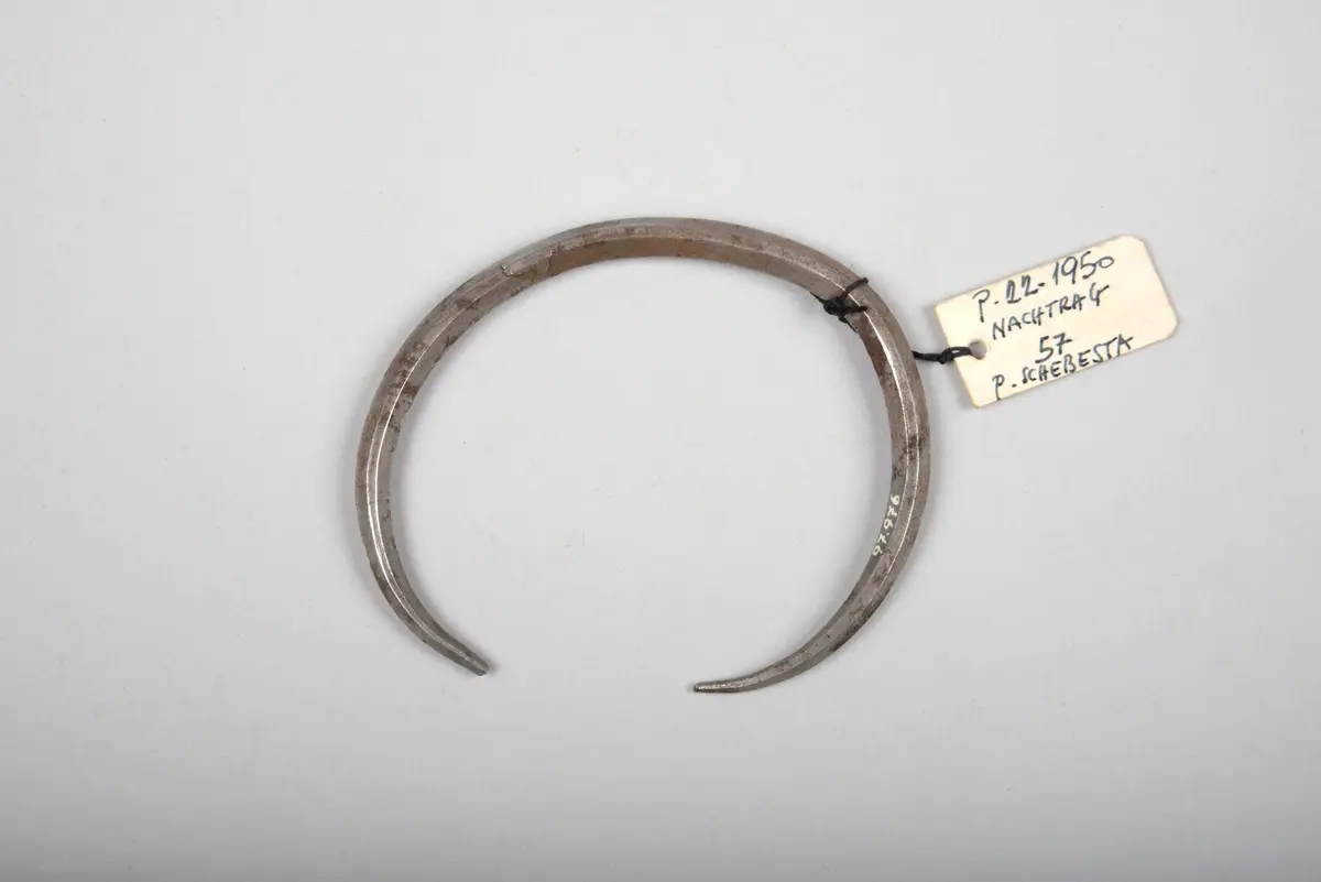 Leg Ornament or Bracelet