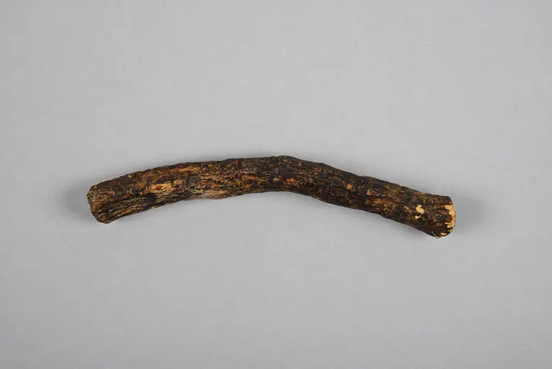 Wurzel (Jagdamulett)