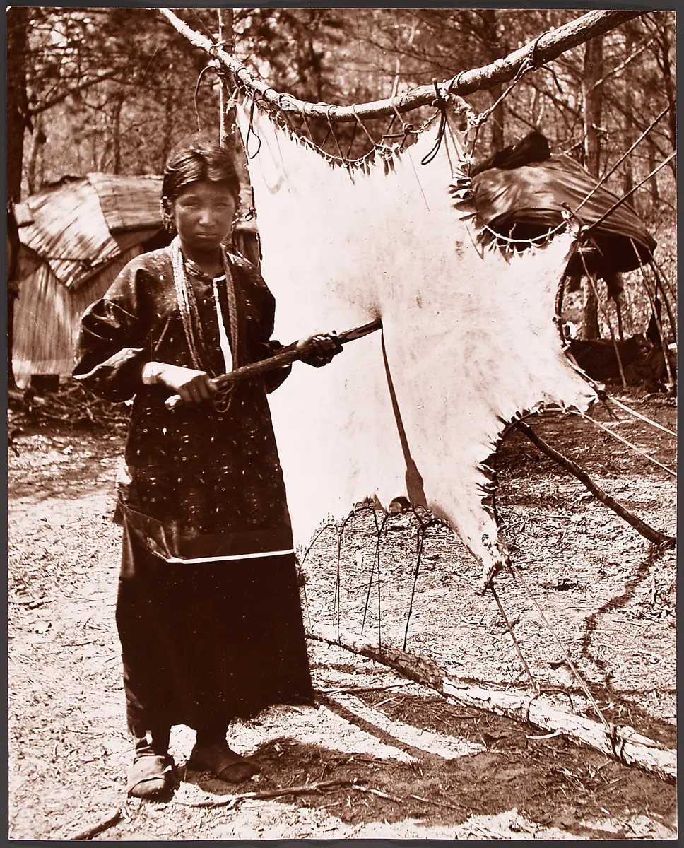 Anonyme Frau demonstriert das Schaben eines Felles