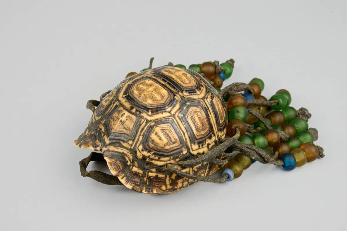 Schildkrötenpanzerbehälter
