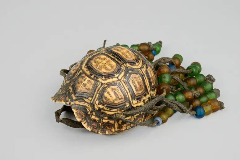 Schildkrötenpanzerbehälter