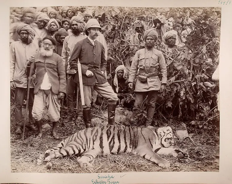 Siriska: Erzherzog Franz Ferdinand und erlegter Tiger
