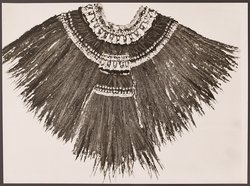Quetzal feathered headdress