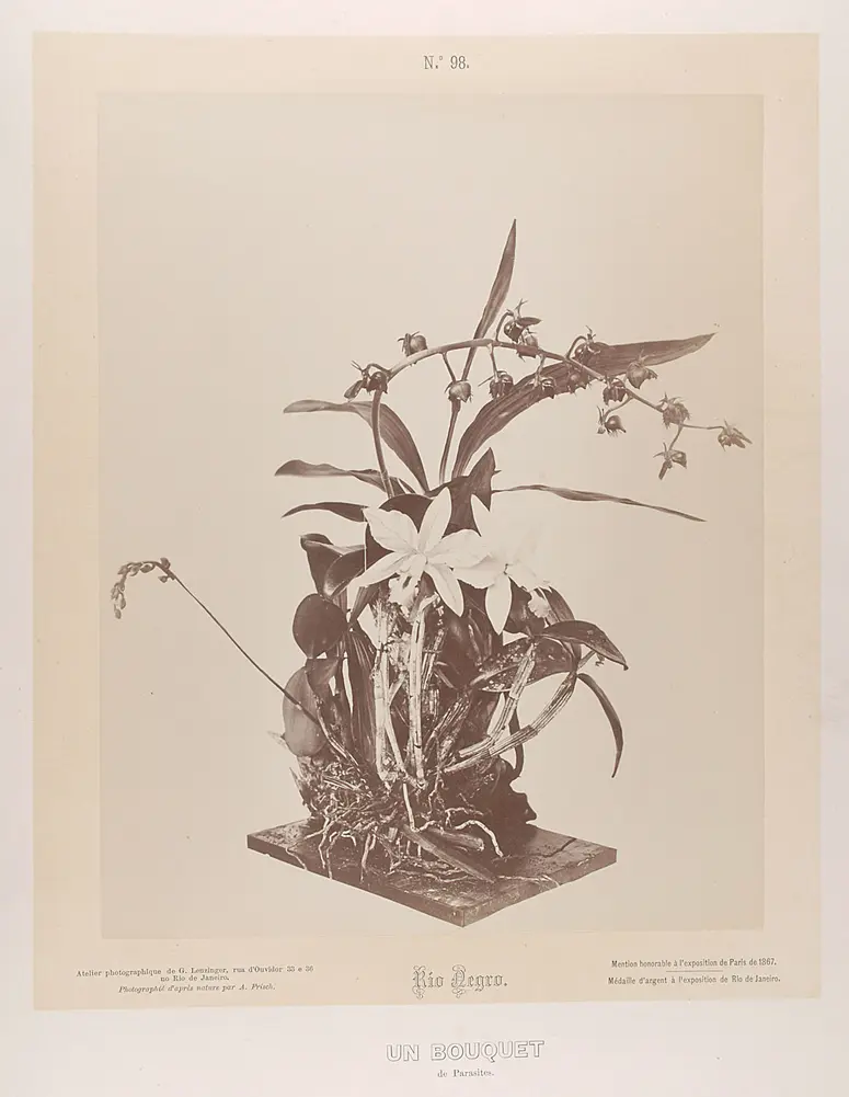 Blumenbuquet