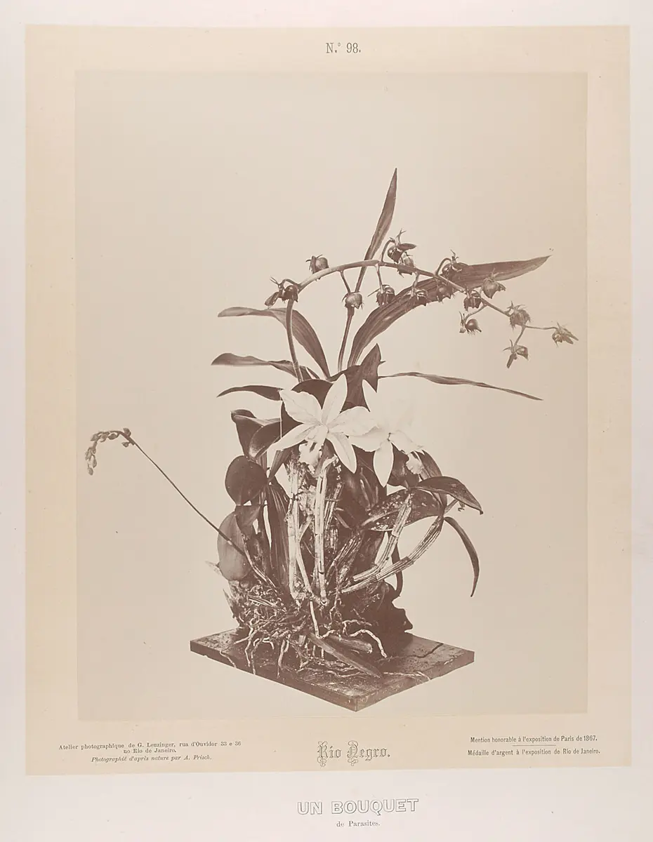 Blumenbuquet