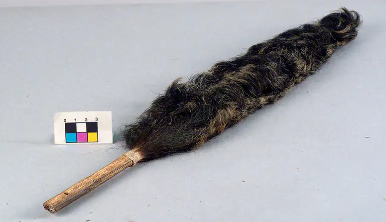Brush
