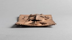 Reliefplatte: Wels