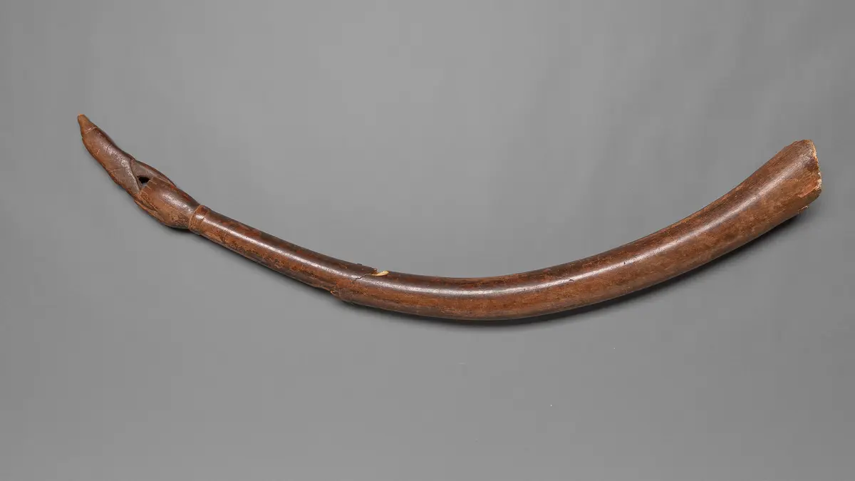 Elfenbeinblashorn