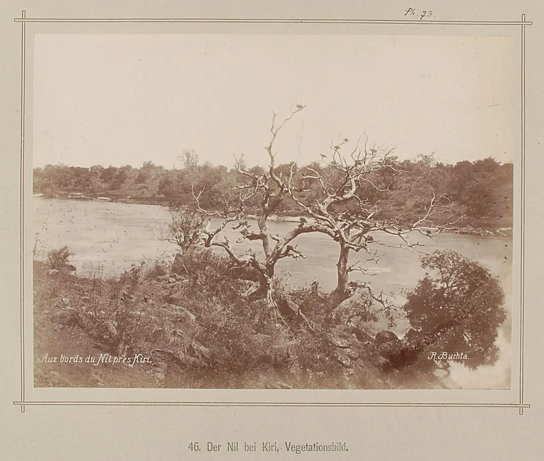 46. The Nile at Kiri, Vegetation
