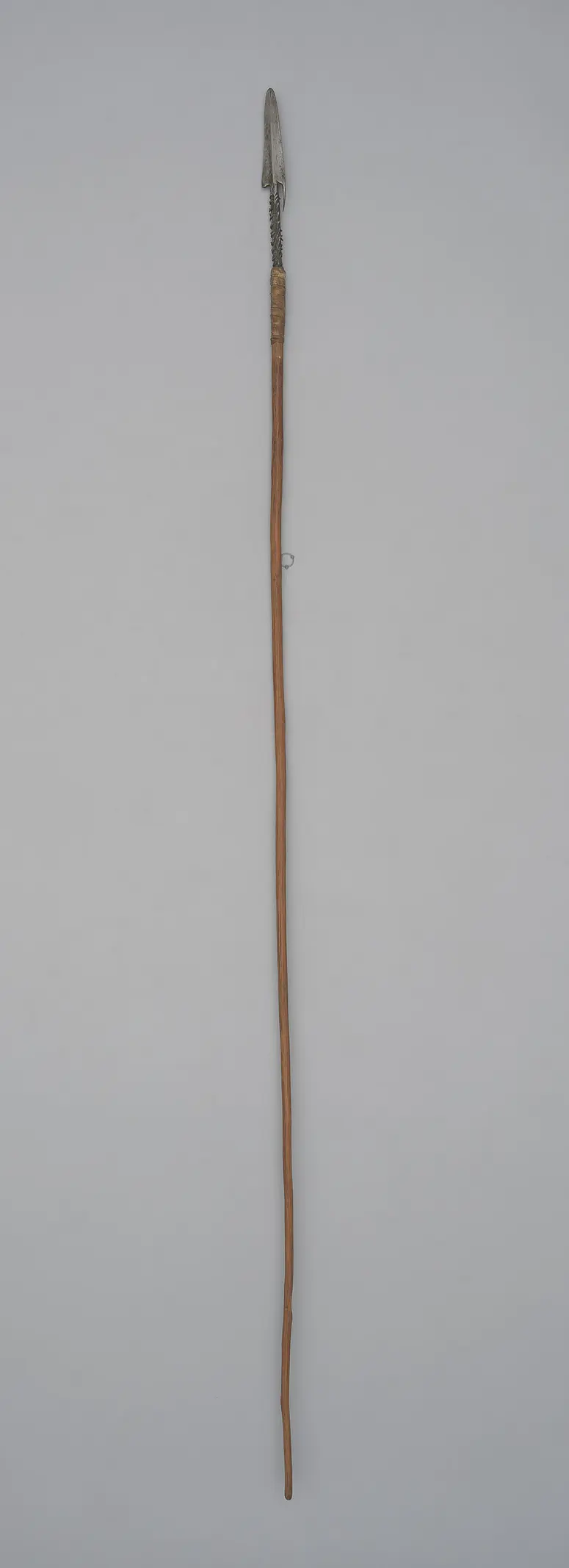 Fischspeer