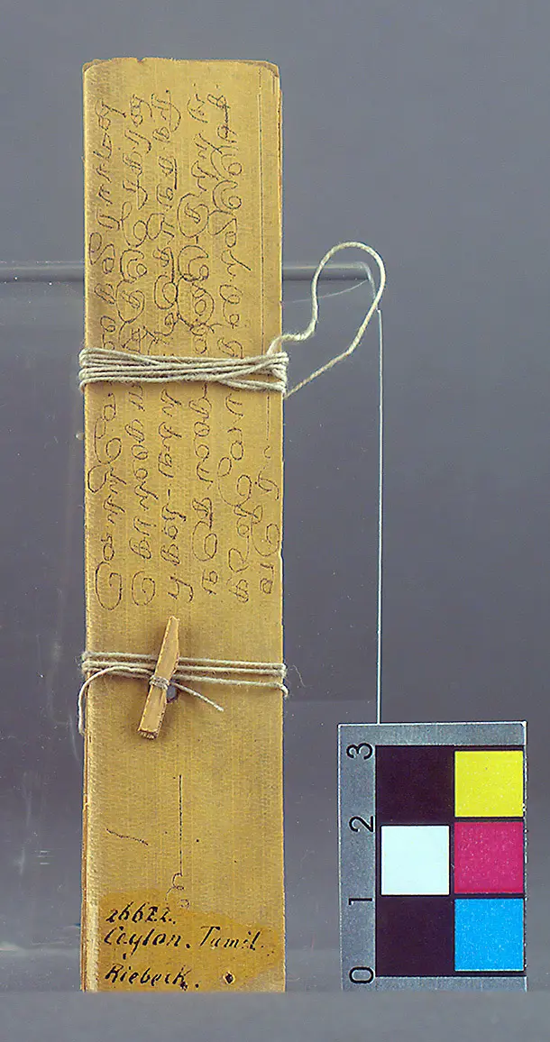 Manuscript