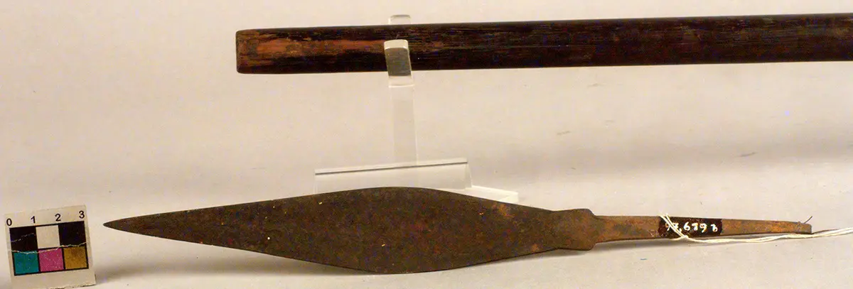 Blow pipe spear