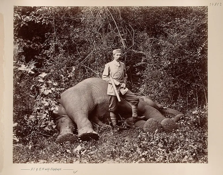 Sr k.u.k. Hoheit beim erlegten Elephanten