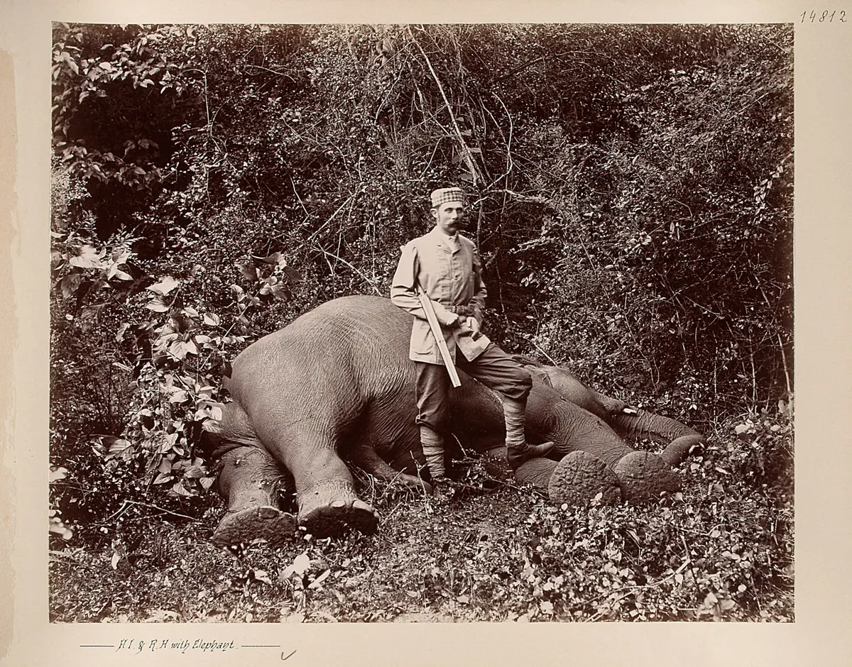 Sr k.u.k. Hoheit beim erlegten Elephanten