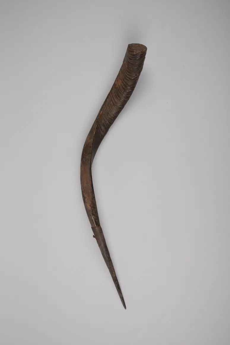 Horn (Schutz)