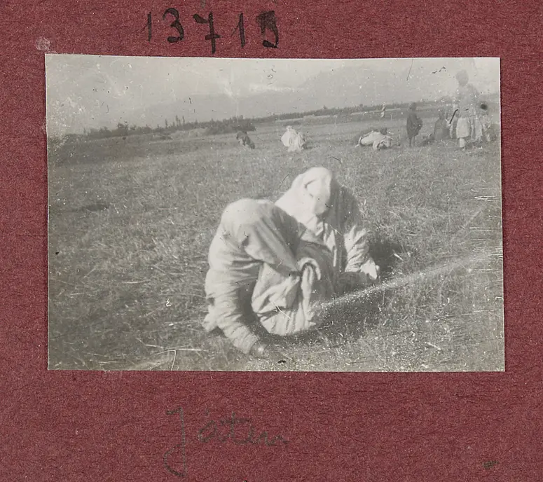 Jäten
