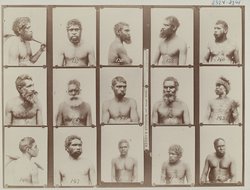 "Wharangoo", warrior, Tenterfield tribe, N.S.W.