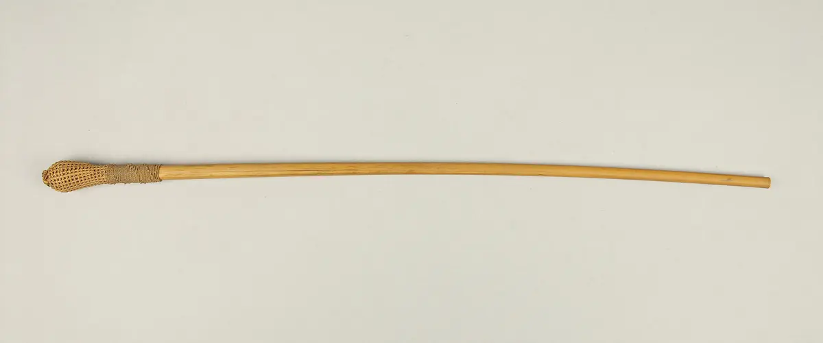Saugrohr